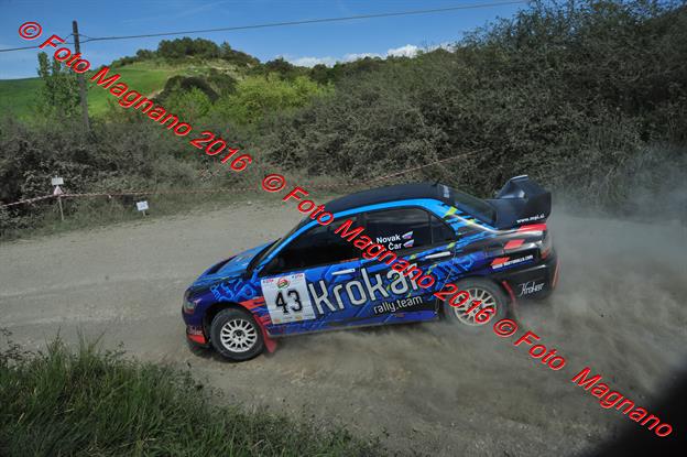 DSC_5557.JPG